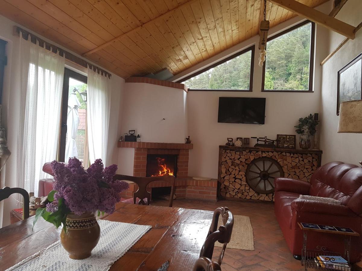 Sura Lu' Vasile. Bed and Breakfast Crivina  Εξωτερικό φωτογραφία