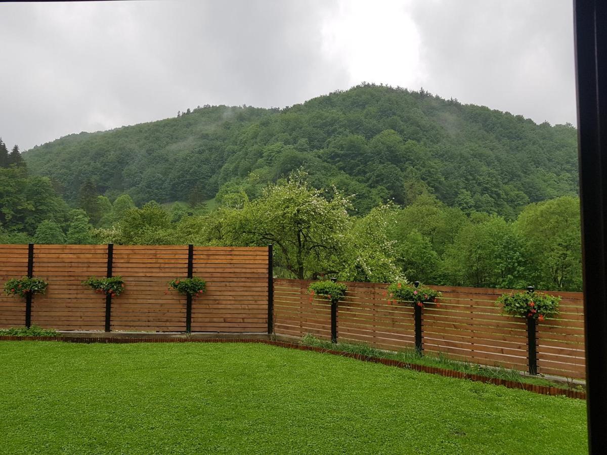Sura Lu' Vasile. Bed and Breakfast Crivina  Εξωτερικό φωτογραφία